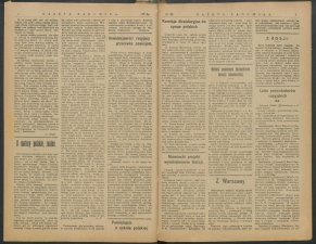 gazeta 1917-89-00002